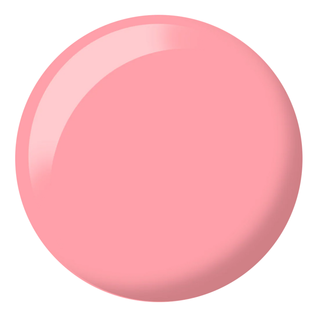 DND Diva Duo - Circus Pink #138