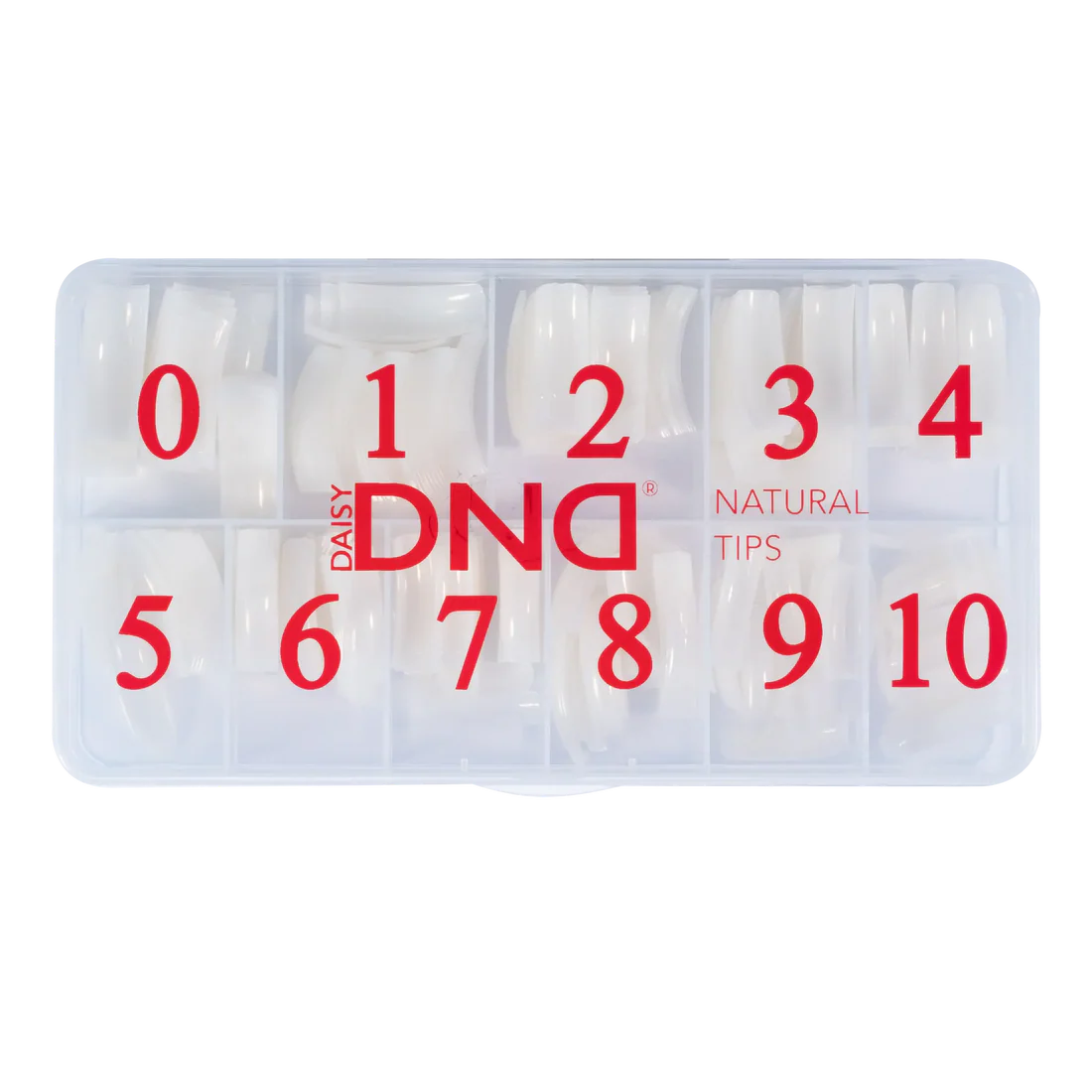 DND Pre-Made Natural Tips Box