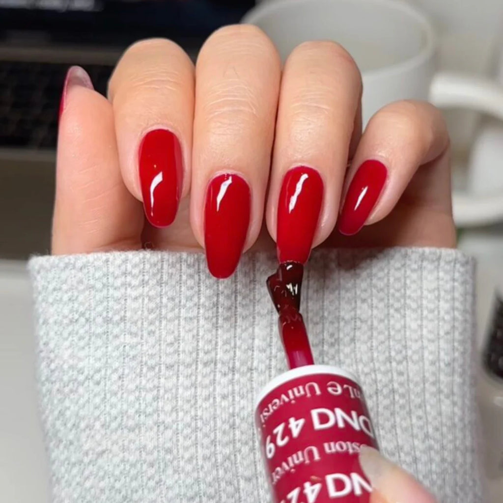 DND Duo #429 Boston University Red